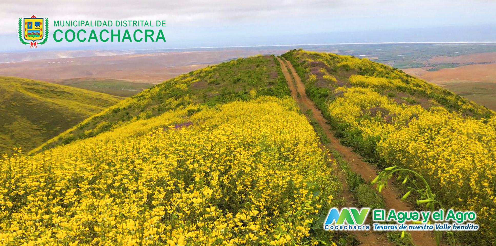LOMAS DEL VALLE DE TAMBO